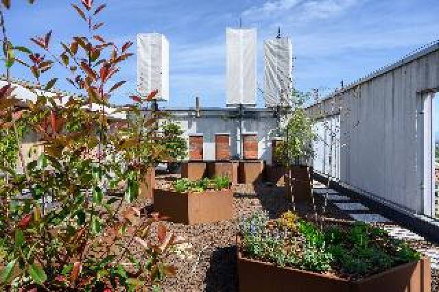 Terraço