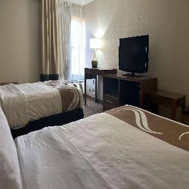 Quarto