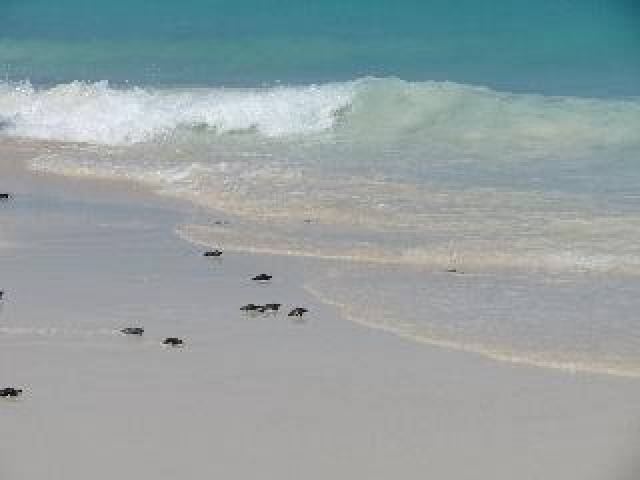 Praia