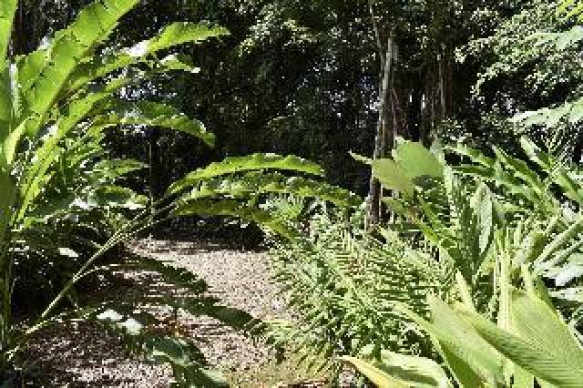 Desportos y Entretenimento