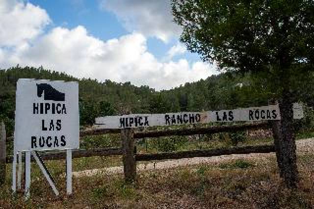 Desportos y Entretenimento