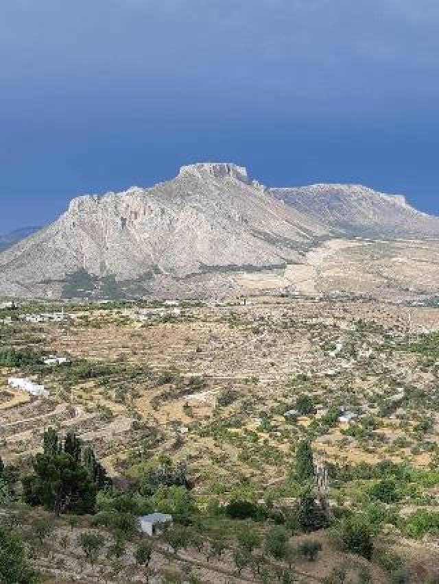 Vista General