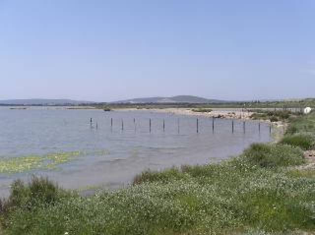 Vista General
