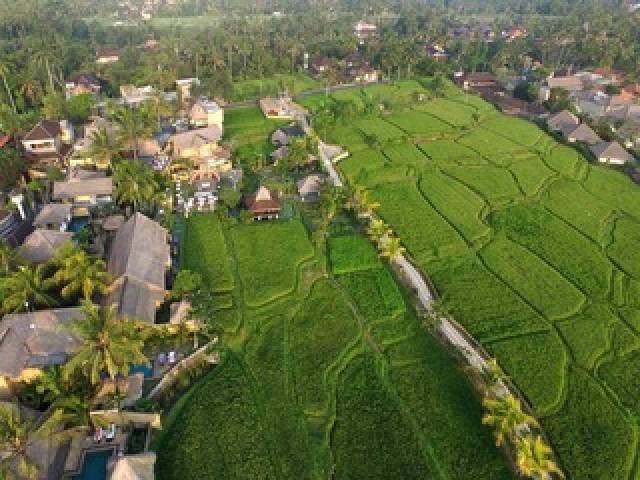 Vista General