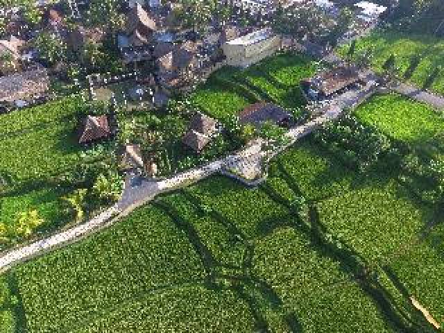 Vista General