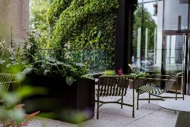 Terraço