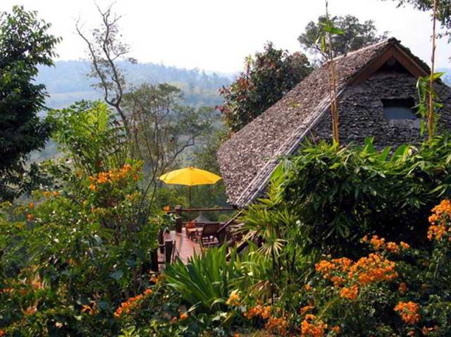 Vista General