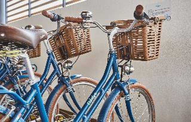 Desportos y Entretenimento