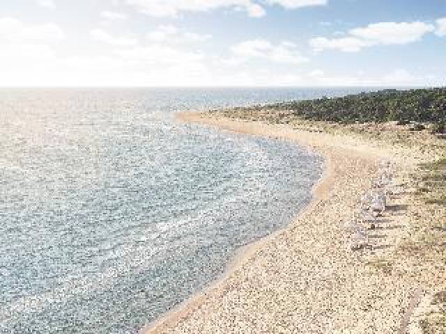 Praia