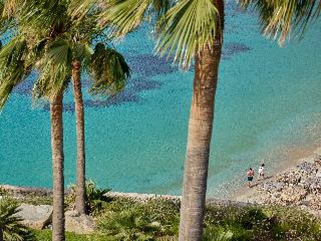 Praia