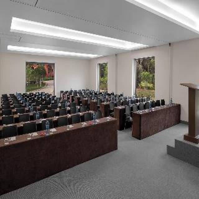 Conferencias