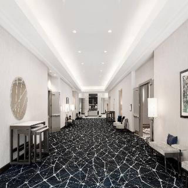 Conferencias