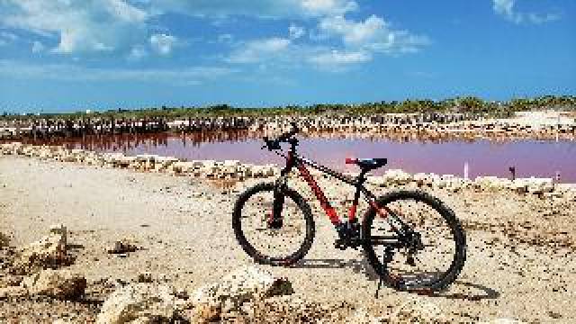 Desportos y Entretenimento