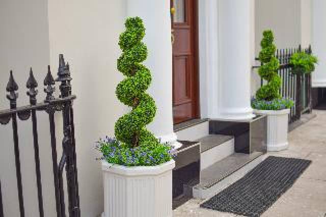 Vista General