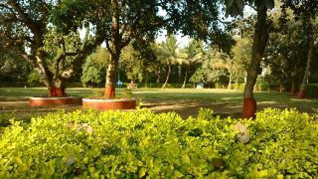 Vista General