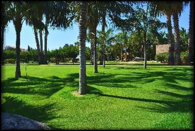 Desportos y Entretenimento