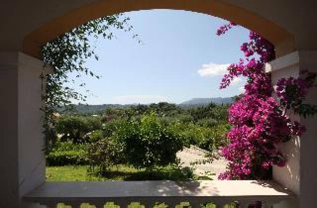 Vista General