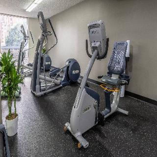 Desportos y Entretenimento