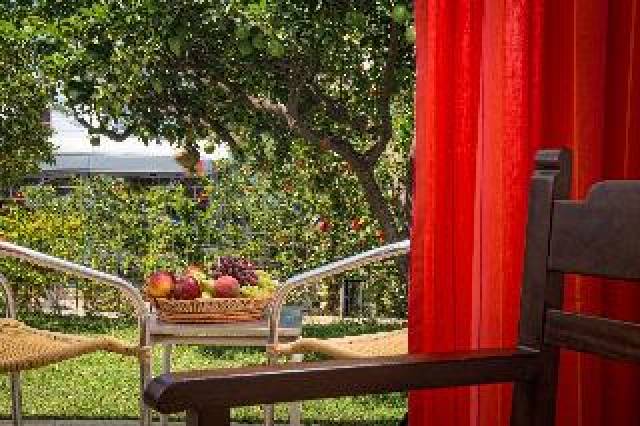 Terraço