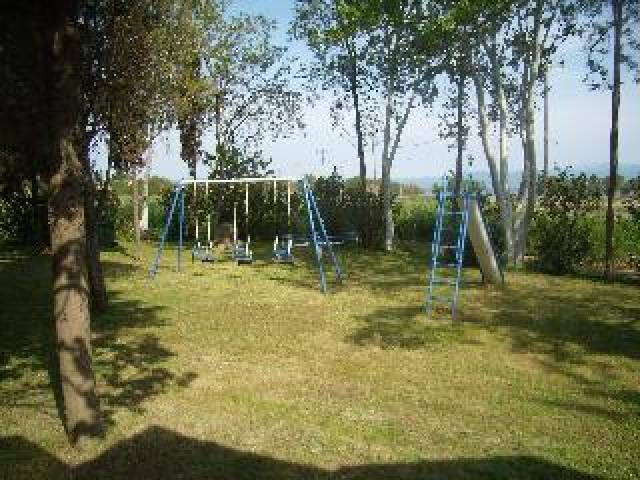 Desportos y Entretenimento