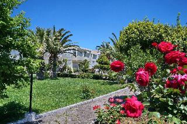 Vista General