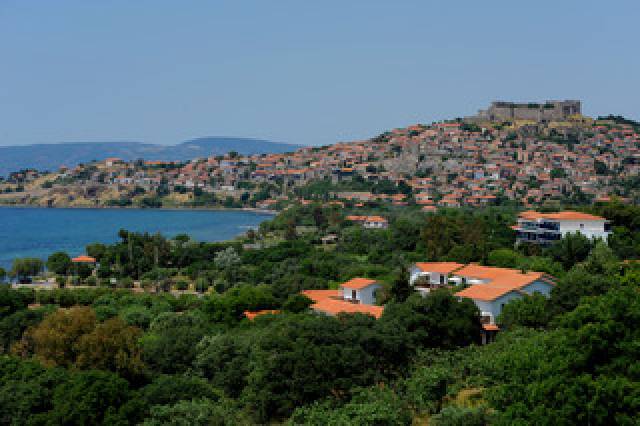 Vista General