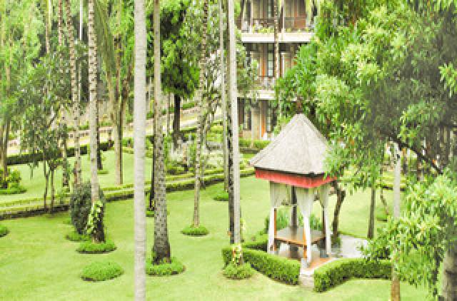 Terraço