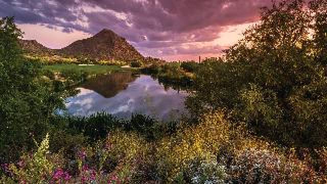 Vista General