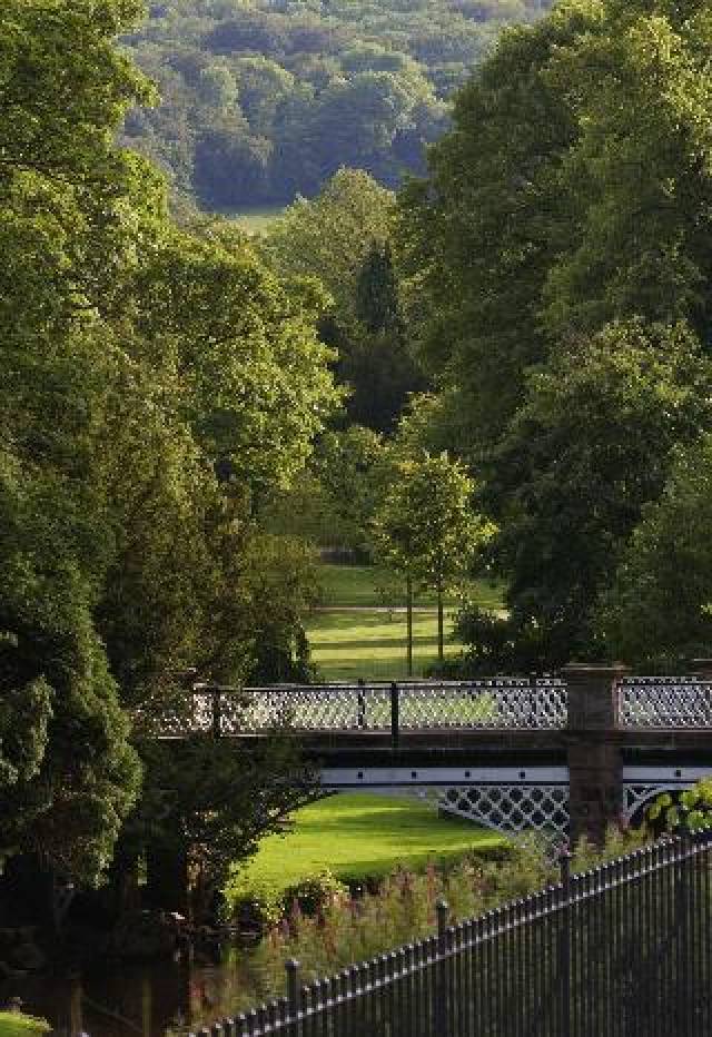 Vista General