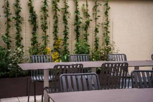 Terraço
