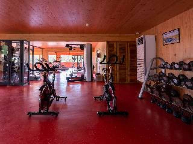 Desportos y Entretenimento