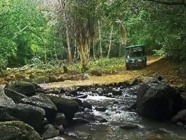 Desportos y Entretenimento