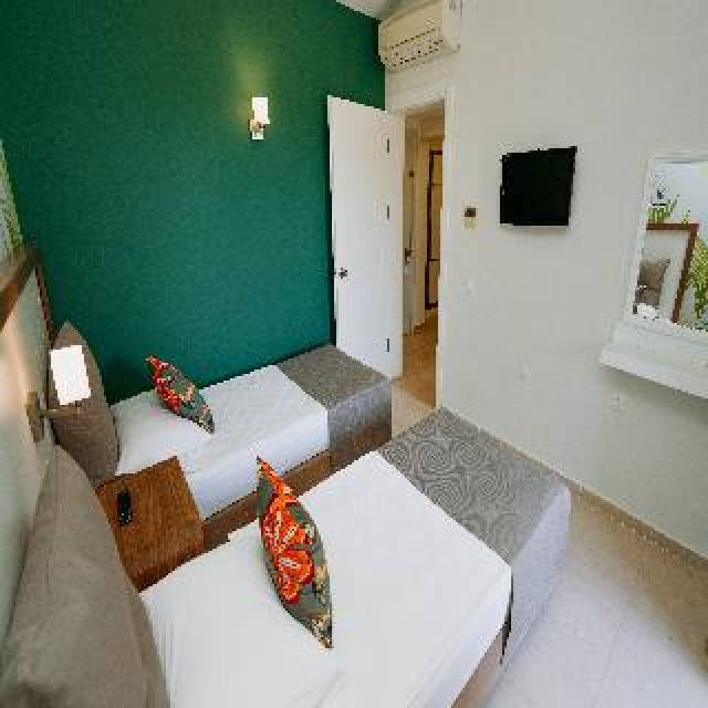 Quarto