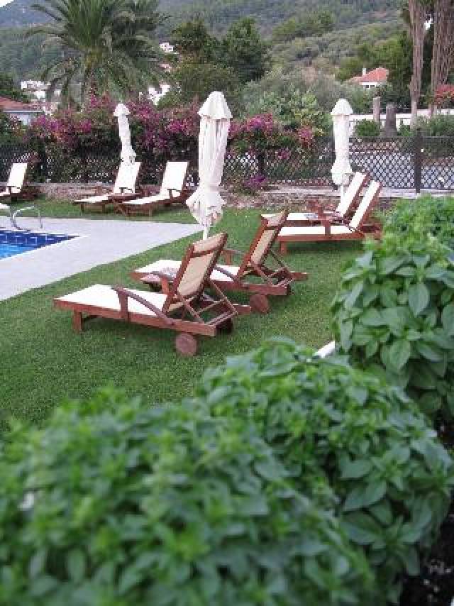 Terraço