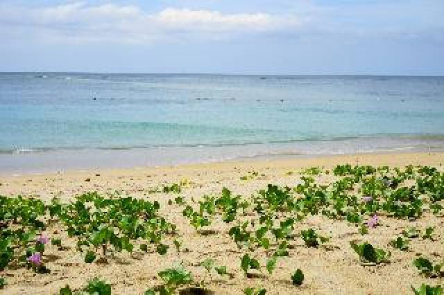 Praia