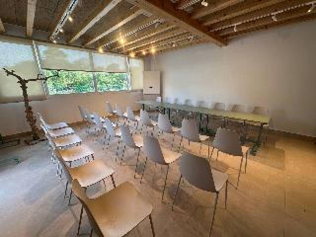 Conferencias