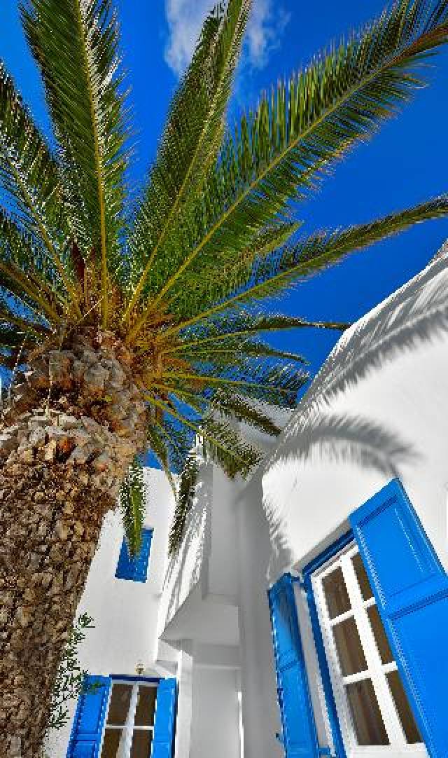 Terraço