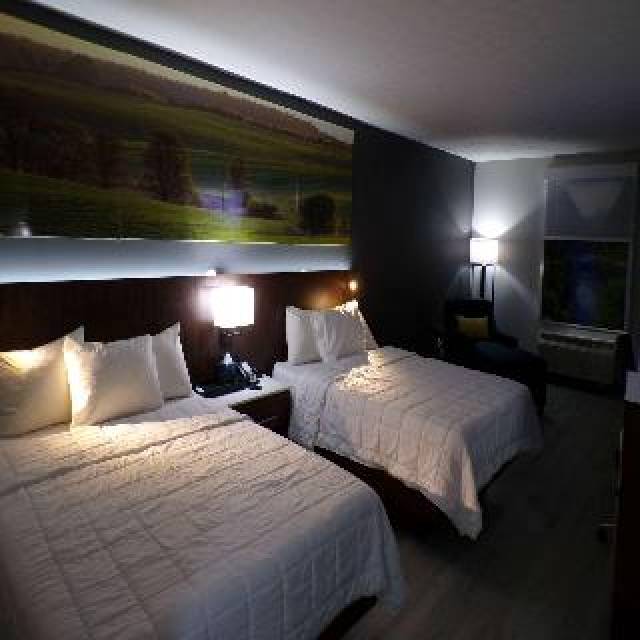 Quarto