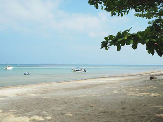 Praia