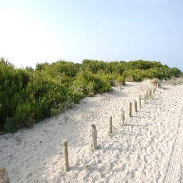 Praia