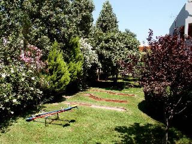 Desportos y Entretenimento