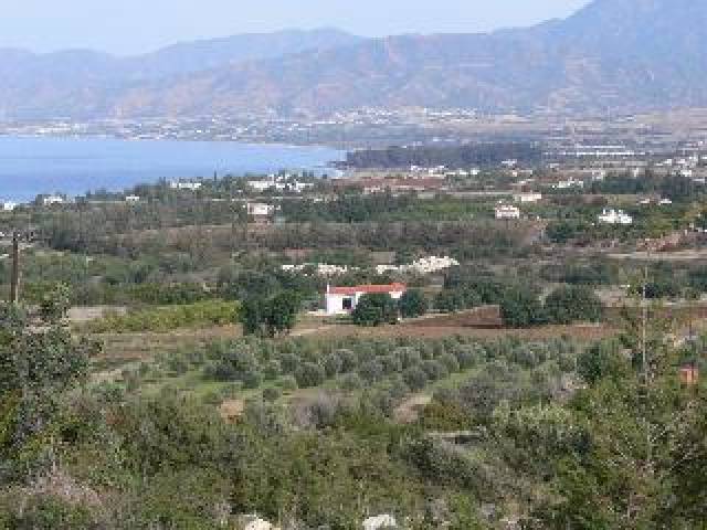 Vista General