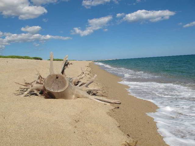Praia