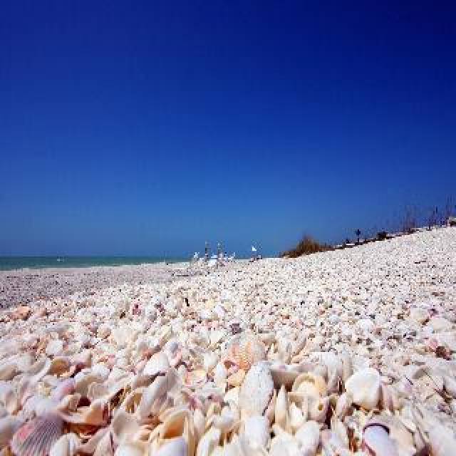 Praia