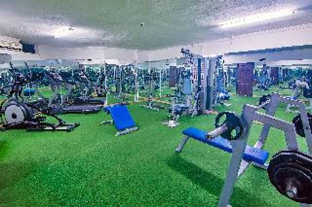 Desportos y Entretenimento