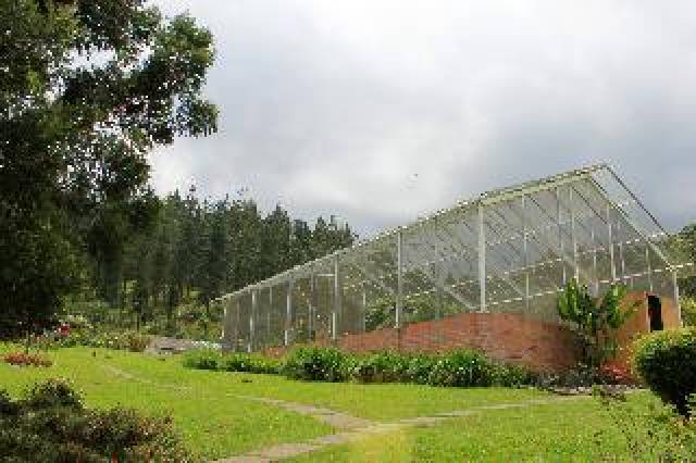 Desportos y Entretenimento