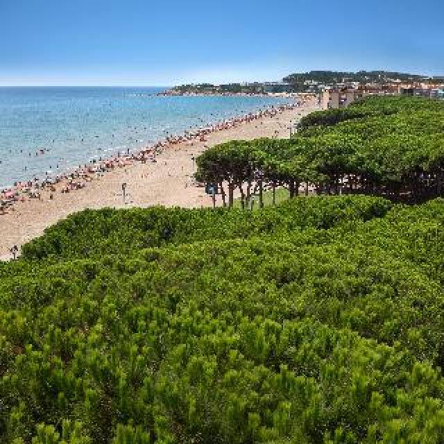 Praia