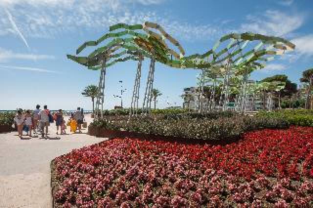Praia