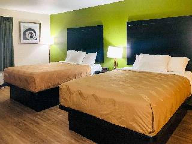 Quarto