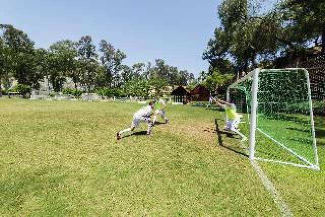 Desportos y Entretenimento